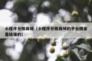 小程序分销商城（小程序分销商城的平台佣金是给谁的）