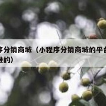 小程序分销商城（小程序分销商城的平台佣金是给谁的）