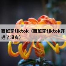 西班牙tiktok（西班牙tiktok开通了没有）