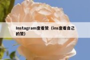 Instagram查看赞（ins查看自己的赞）