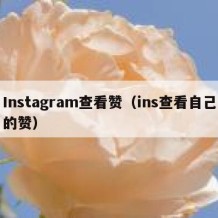 Instagram查看赞（ins查看自己的赞）