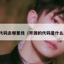 开源代码去哪里找（开源的代码是什么意思）