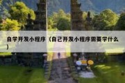 自学开发小程序（自己开发小程序需要学什么）