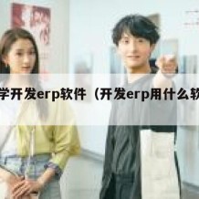 自学开发erp软件（开发erp用什么软件）