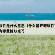 开源软件是什么意思（什么是开源软件?开源软件有哪些优缺点?）