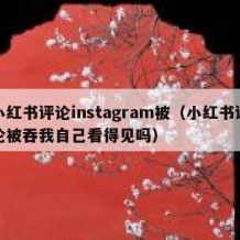 小红书评论instagram被（小红书评论被吞我自己看得见吗）