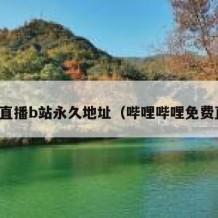 免费直播b站永久地址（哔哩哔哩免费直播）