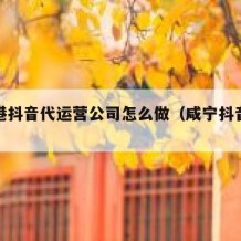 防城港抖音代运营公司怎么做（咸宁抖音代运营）