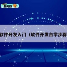 自学软件开发入门（软件开发自学步骤视频）