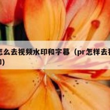 pr怎么去视频水印和字幕（pr怎样去视频水印）