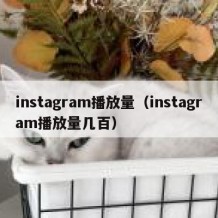 instagram播放量（instagram播放量几百）