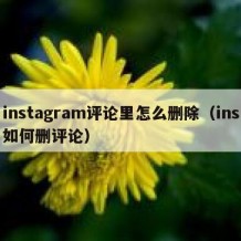 instagram评论里怎么删除（ins如何删评论）