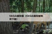 tiktok国际版（tiktok国际版如何下载）