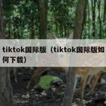 tiktok国际版（tiktok国际版如何下载）