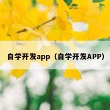 自学开发app（自学开发APP）