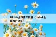 tiktok全球用户数量（tiktok全球用户分布）