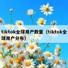 tiktok全球用户数量（tiktok全球用户分布）