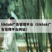 tiktok广告管理平台（tiktok广告管理平台网址）