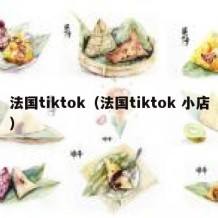 法国tiktok（法国tiktok 小店）