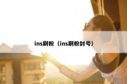 ins刷粉（ins刷粉封号）