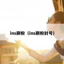 ins刷粉（ins刷粉封号）