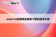 www.91短视频在那里下载的简单介绍