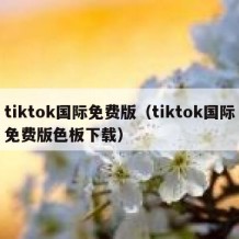 tiktok国际免费版（tiktok国际免费版色板下载）