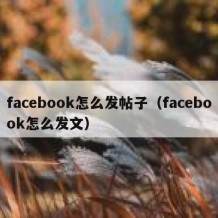 facebook怎么发帖子（facebook怎么发文）