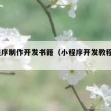 小程序制作开发书籍（小程序开发教程 pdf）