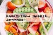 国内手机怎么上tiktok（国内手机怎么上google浏览器）