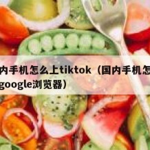 国内手机怎么上tiktok（国内手机怎么上google浏览器）