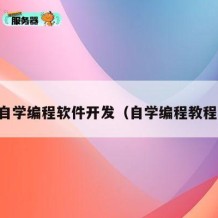 自学编程软件开发（自学编程教程）