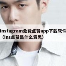 instagram免费点赞app下载软件（ins点赞是什么意思）