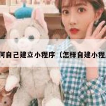 如何自己建立小程序（怎样自建小程序）