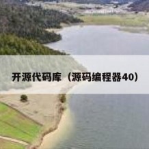 开源代码库（源码编程器40）