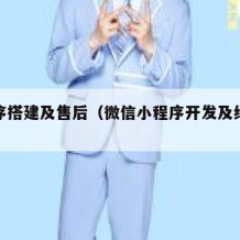 小程序搭建及售后（微信小程序开发及维护费用）