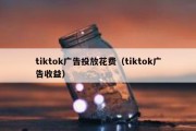 tiktok广告投放花费（tiktok广告收益）