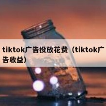 tiktok广告投放花费（tiktok广告收益）