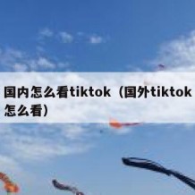 国内怎么看tiktok（国外tiktok怎么看）