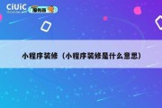 小程序装修（小程序装修是什么意思）