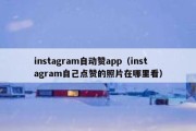 instagram自动赞app（instagram自己点赞的照片在哪里看）