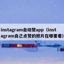 instagram自动赞app（instagram自己点赞的照片在哪里看）