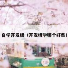 自学开发板（开发板学哪个好些）