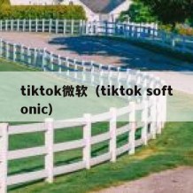 tiktok微软（tiktok softonic）