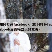 如何打开facebook（如何打开facebook后直接显示好友页）