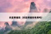 抖音刷播放（抖音刷播放有用吗）