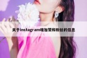 关于instagram增加赞和粉丝的信息