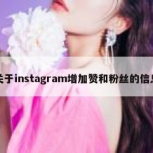 关于instagram增加赞和粉丝的信息