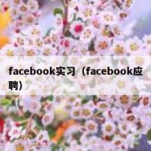 facebook实习（facebook应聘）