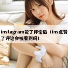 instagram赞了评论后（ins点赞了评论会被看到吗）